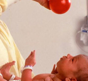 newborn behavioral observations training image